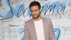 Liam Payne Gets Totally Naked in Instagram Photo