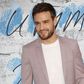 Liam Payne Gets Totally Naked in Instagram Photo