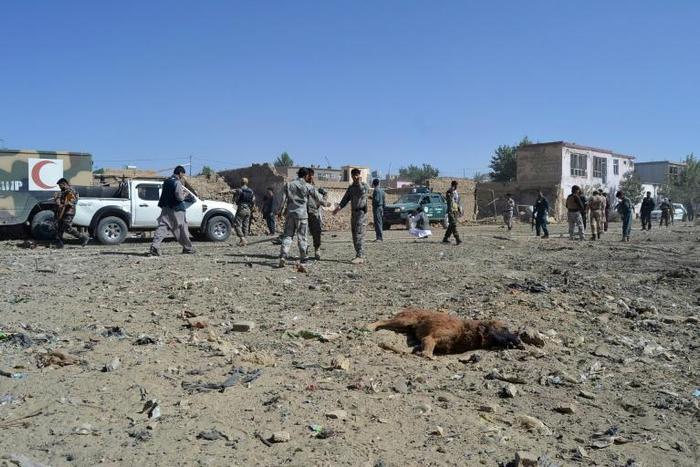 A dead dog lays on the ground as Afghan security personnel arrive at the site of a car bomb attack that targeted an intelligence unit in Ghazni
