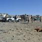 A dead dog lays on the ground as Afghan security personnel arrive at the site of a car bomb attack that targeted an intelligence unit in Ghazni