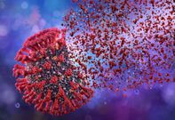 What’s HMPV? All you need to know about the latest fast-spreading virus