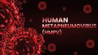 HMPV