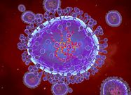 What’s HMPV? All you need to know about the latest fast-spreading virus