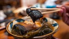 Deadliest delicacies: 10 deadly animals that people actually eat around the world