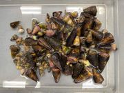 Deadliest delicacies: 10 deadly animals that people actually eat around the world