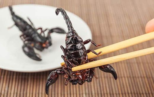 Scorpions/gettyimages
