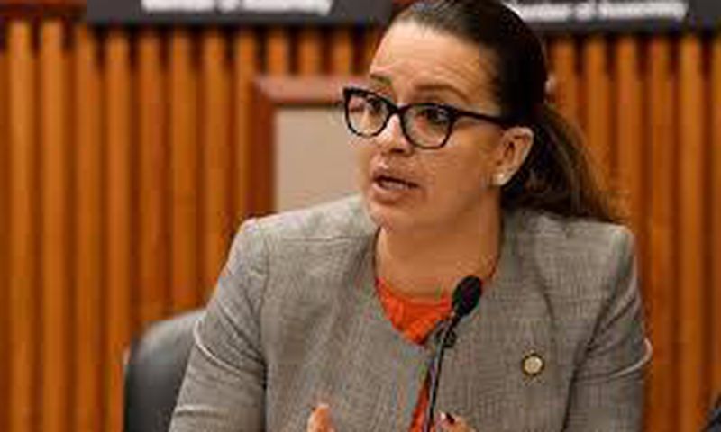 Democratic rift over N.Y. budget as progressive backlash grows