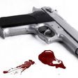 Gun
