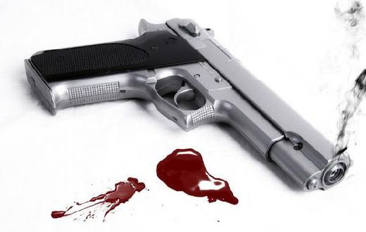 Gun