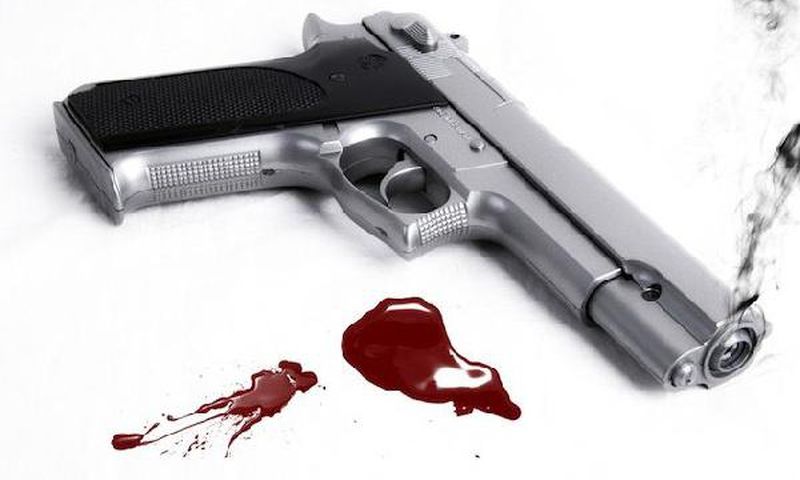 Gun