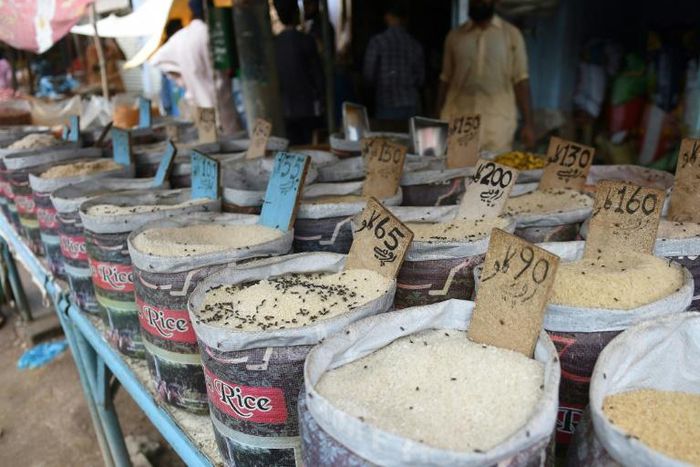 Markets in Karachi have been overwhelmed by flies, after heavy rains inundated the city