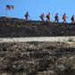 Tens of thousands of residents in southern California fled their homes as the so-called Tick Fire scorched over 4,000 acres (1,618 hectares)