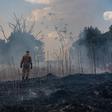 This handout from August 2019 photo shows a firefighter combating a fire in the Amazon basin in the municipality Sorriso, Mato Grosso State, Brazil