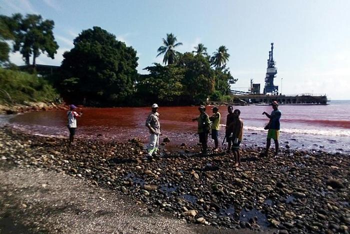 Papua New Guinea has ordered a Chinese nickel plant closed after hazardous liquid was released into sea, turning parts the surrounding coastline red
