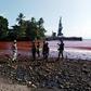 Papua New Guinea has ordered a Chinese nickel plant closed after hazardous liquid was released into sea, turning parts the surrounding coastline red