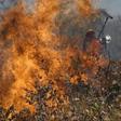 Firefighters try to control a blaze near Charagua in Bolivia on August 29, 2019