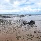 Satellite images reportedly show the creation of an inland sea in Mozambique that is 125 kilometres long and 25 km wide (78 x 16 miles)