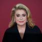 The French actress Catherine Deneuve is in a Paris hospital after suffering a small stroke, her family told AFP Wednesday