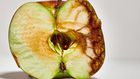 Ok, What Is The Deal With This 'Flesh-Eating' STD?