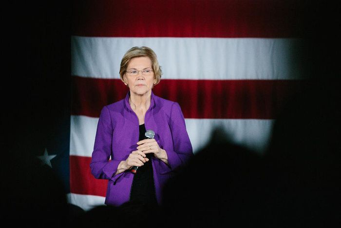 Elizabeth warren actually wants to fix capitalism
