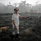 Brazilian farmer Helio Lombardo Do Santos and a dog walk through a burnt area of the Amazon rainforest, near Porto Velho, Rondonia state, Brazil, on August 26, 2019