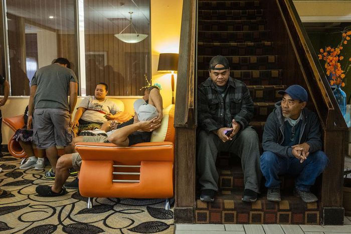 They Crossed an Ocean to Butcher Pigs. It Was No American Dream.