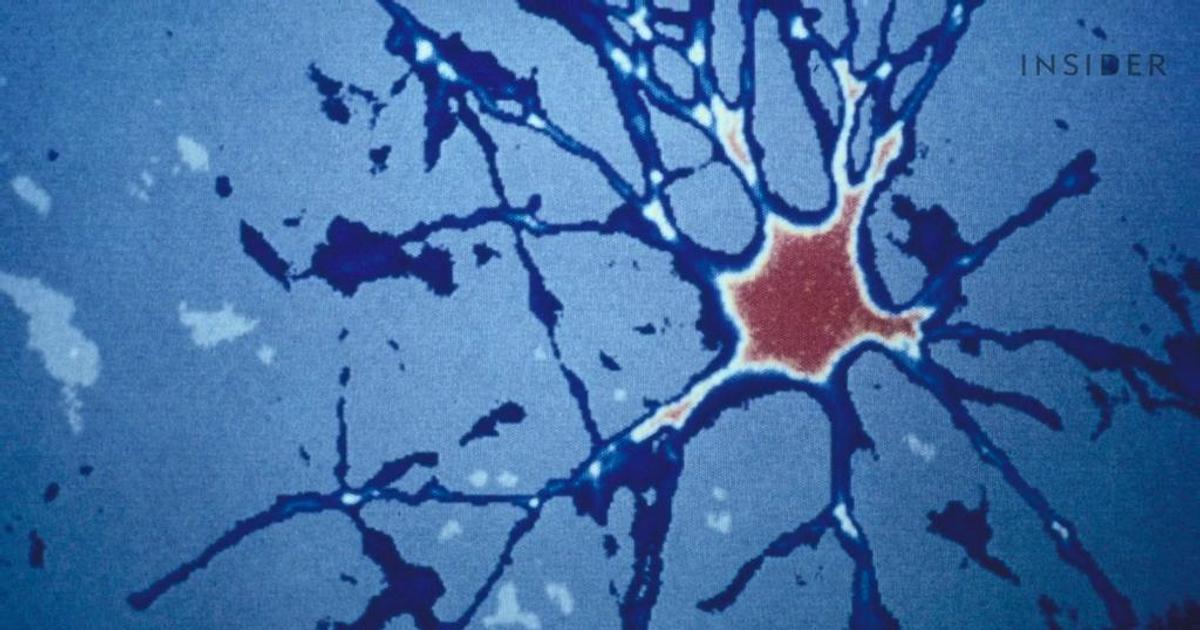 The human body replaces millions of cells every day. Here's how much ...