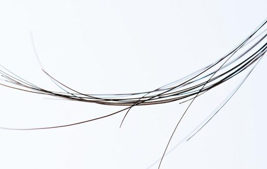 What Exactly Are Rogue Hairs?