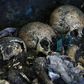 A team of international forensic experts exhumed a mass grave of victims of El Salvador's 1980-1992 civil war