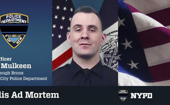 They Took Different Paths. They Died Together in the Bronx.