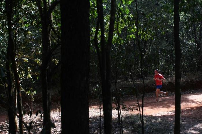 In the space of ten years, Karura forest has gone from a dangerous no man's land to one of Nairobi's safest and most popular destinations