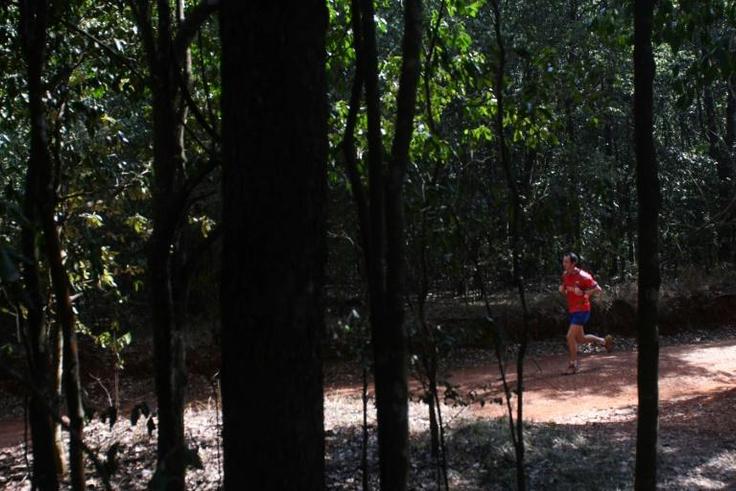 In the space of ten years, Karura forest has gone from a dangerous no man's land to one of Nairobi's safest and most popular destinations