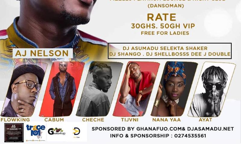 AJ Nelson and Friends concert