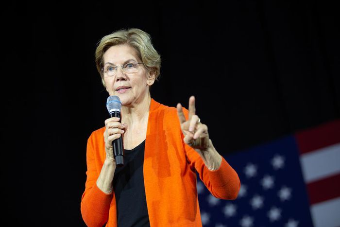 Elizabeth Warren Says She Will Release a Plan to Finance 'Medicare for All'