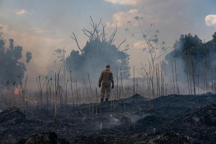 Satellite data showed 3,859 new outbreaks of fire, of which some 2,000 were concentrated in the Amazon region