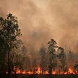More than 100 fires were still burning across New South Wales and Queensland on Sunday, including dozens of blazes that remained out of control