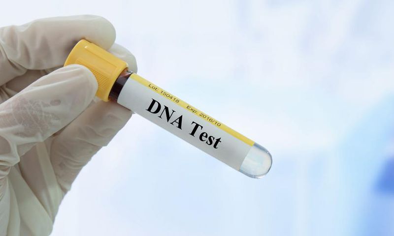 DNA TEST