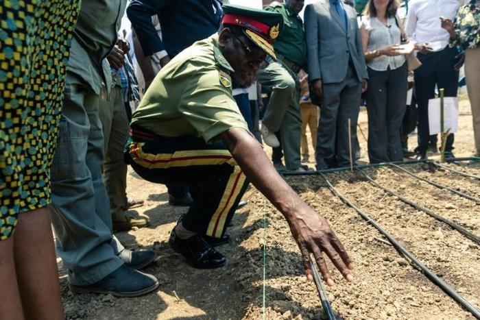 A senior army representative sowing some of the first industrial hemp crop in Zimbabwe at the Harare Central Prison in the capital, on October 11, 2019.The Zimbabwe Industrial Hemp Trust (ZIHT) is the first organization to be issued with a cannabis lic...