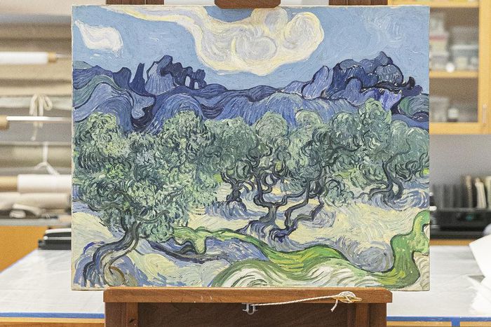 Remaking MoMA for the 21st Century: To See Art Anew, Change Your Vision