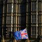 'Remain' voters are being encouraged to abandon party loyalty to vote for the candidate best placed to defeat pro-Brexit politicians