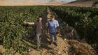 The Future of Wine: Very, Very Dry