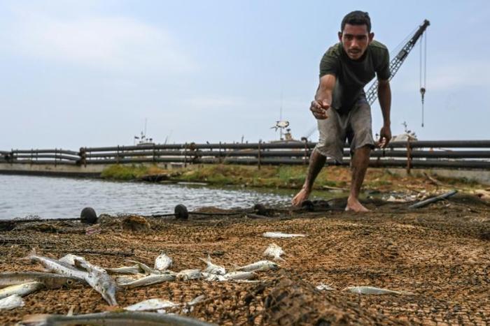 Juan Maurice finds only slim pickings in his fishing net cast in the dirty, oil-slicked waters of Lake Maracaibo