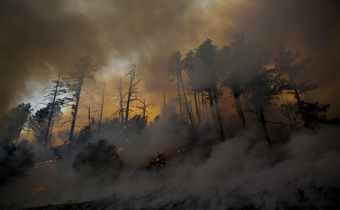 Despair for Many and Silver Linings for Some in California Wildfires