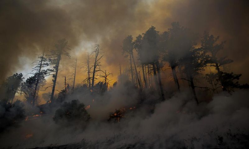 Despair for Many and Silver Linings for Some in California Wildfires