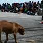 People await evacuation at a dock in devastated Marsh Harbour, Bahamas, on September 7, 2019, in the aftermath of Hurricane Dorian