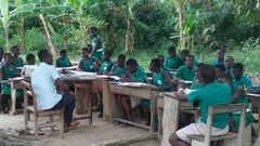Students under trees (File photo)