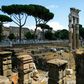 Rome and central Italy's antiquity is well-documented in the rich archaeological and historical record, but relatively little genetic work had been carried out until now