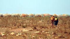 The report said Somalia was 'among the most climate-vulnerable countries in the world'