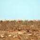 The report said Somalia was 'among the most climate-vulnerable countries in the world'