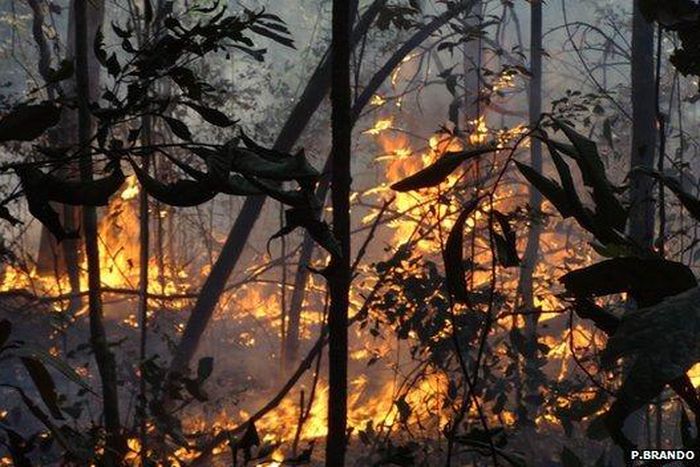 Fire kills 75-year-old farmer